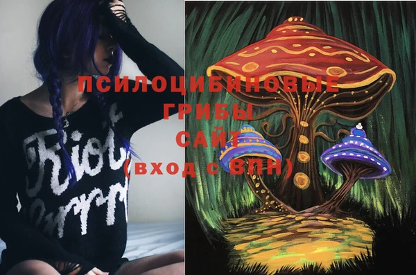 хмурый Волоколамск