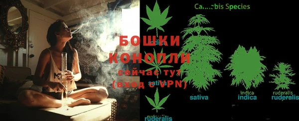 хмурый Волоколамск
