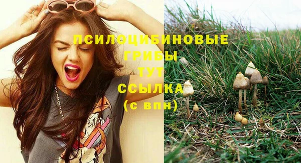 хмурый Волоколамск