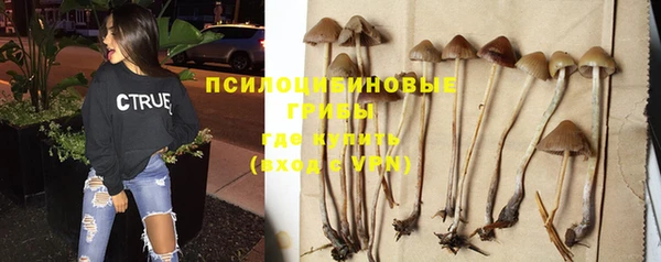 твердый Верхний Тагил