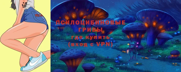 хмурый Волоколамск